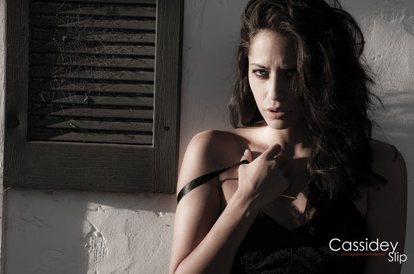 STRIPLV Issue 0523 with Paris Amour, Nicolas Cage, Hayden Panettiere, Nessa Barrett, Chanel Uzi, Liza Kovalenko, Ivy Wolfe, Bronwin Aurora, Lauren WK, Cassidey and more