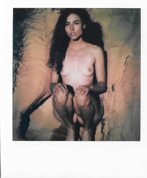ART by Santodonato:  Thistle 1 (limited edition) Polaroid picture signed by the photographer Santodonato