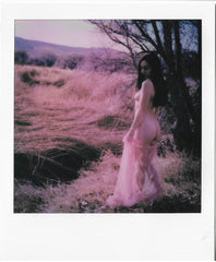 ART by Santodonato:  Oranda 2 (limited edition) Polaroid picture signed by the photographer Santodonato