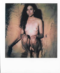 ART by Santodonato:  Thistle 1 (limited edition) Polaroid picture signed by the photographer Santodonato