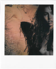 ART by Santodonato:  Thistle 2 (limited edition) Polaroid picture signed by the photographer Santodonato