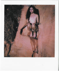 ART by Santodonato:  Thistle 4 (limited edition) Polaroid picture signed by the photographer Santodonato